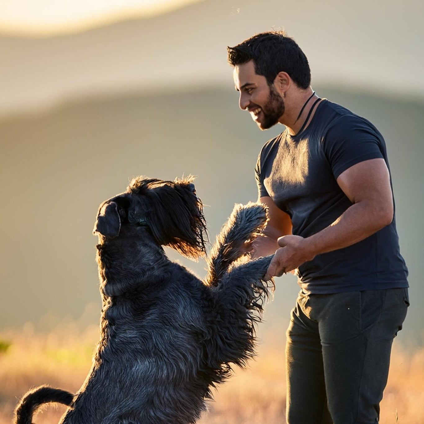 A Giant Schnauzer playing with its male owner in a big field.