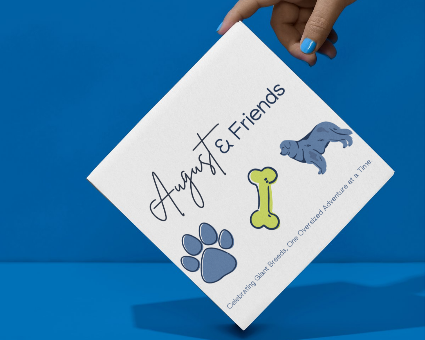 Blue background with August  & Friends Subscription Box
